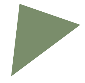 Fundacja Nastolatki logo trojkat zielony pełny